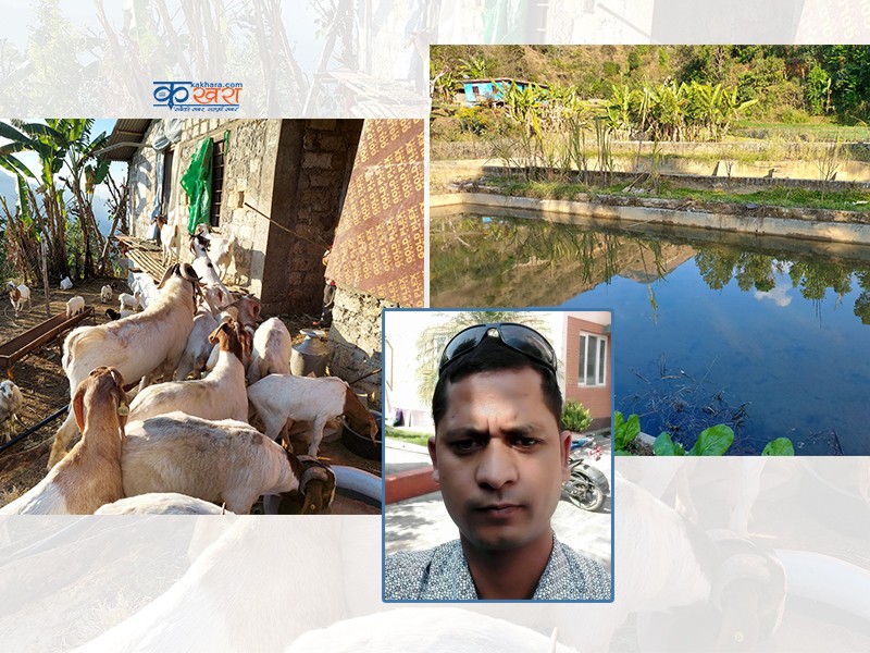 कृषिमा व्यवशायिक बन्न संघर्षरत खड्का 